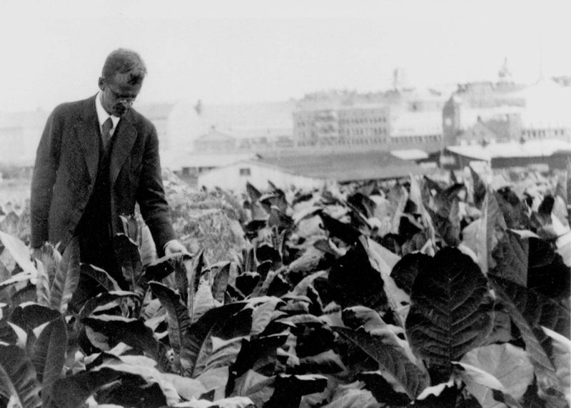 The history of snus