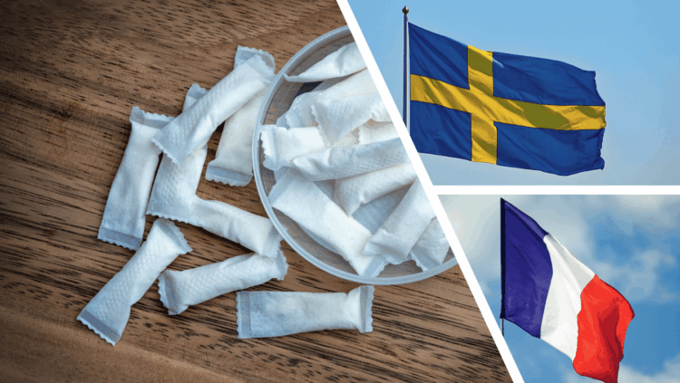 France Sweden nicotine pouch ban EU
