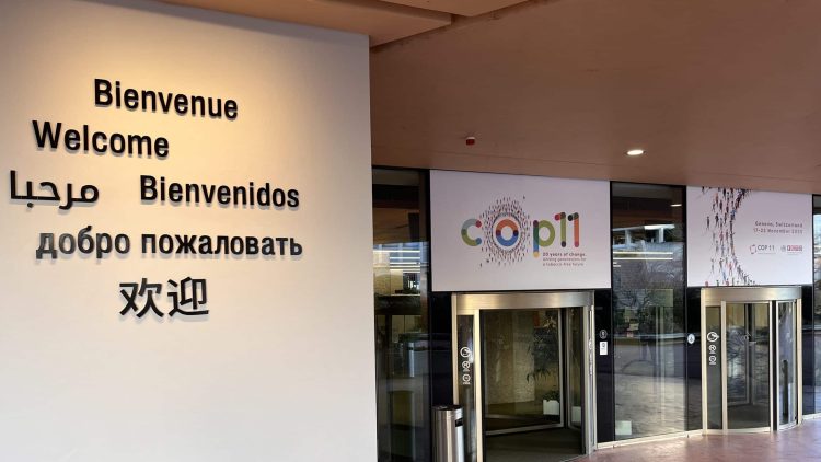 harm reduction promise COP11 Sweden