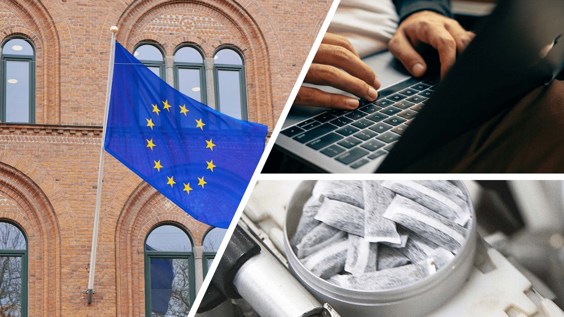 EU tobacco survey